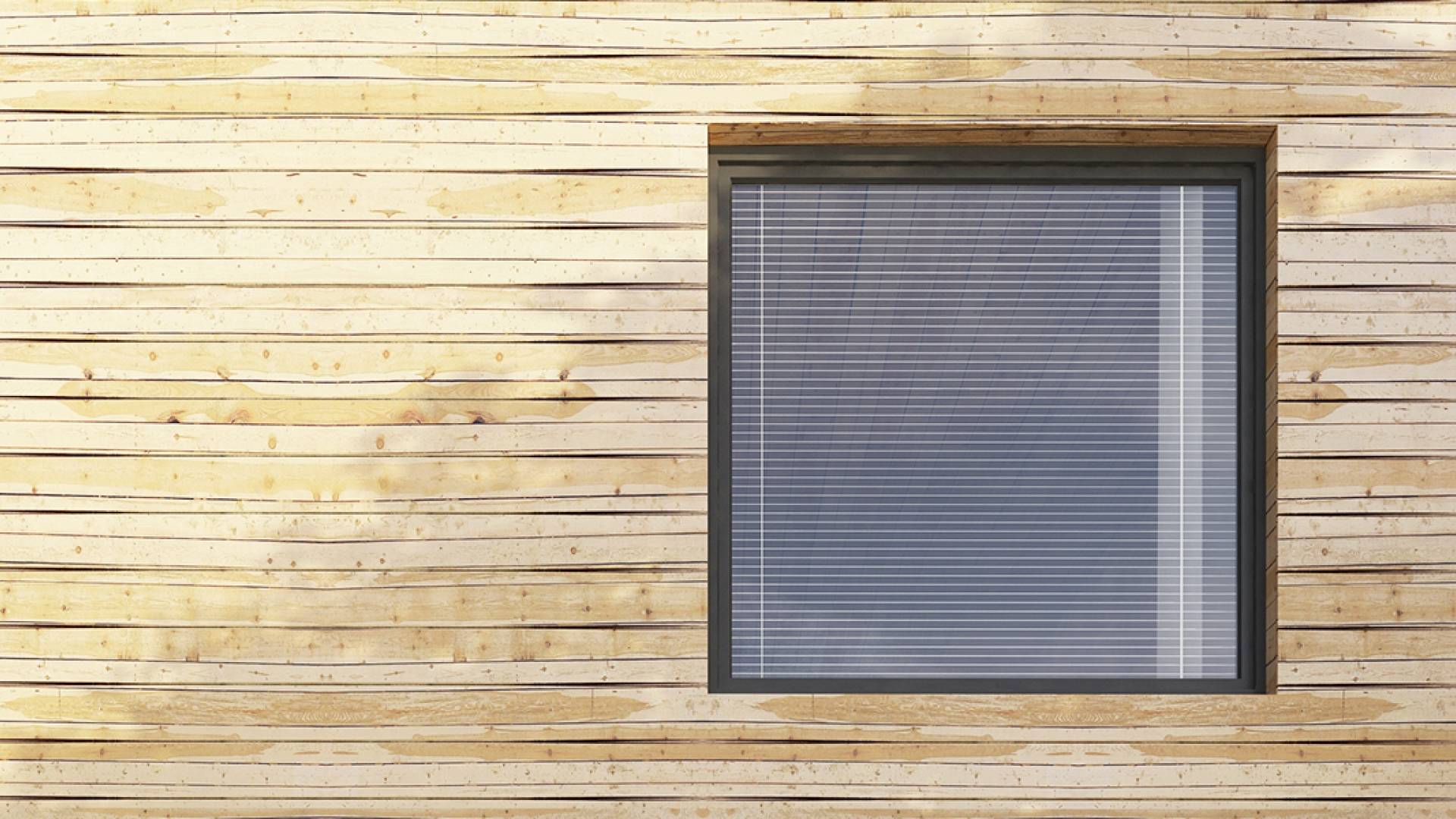 Single-family house TYP B